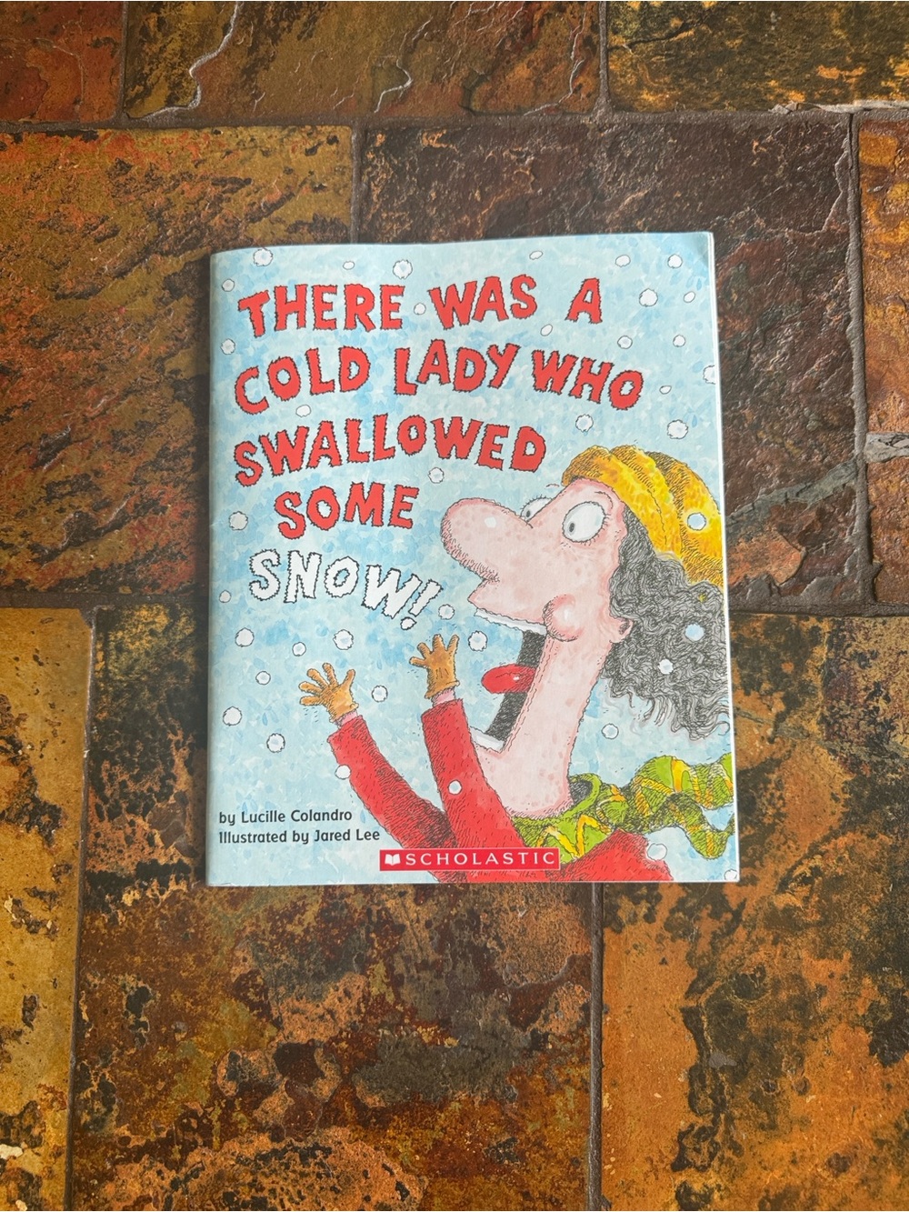 Scholastic Kids' Book - There Was a Cold Lady Who Swallowed Some Snow!